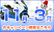 11���`3���̃L�����y�[�����͂�����