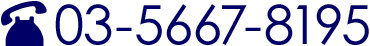tel03-5667-8195